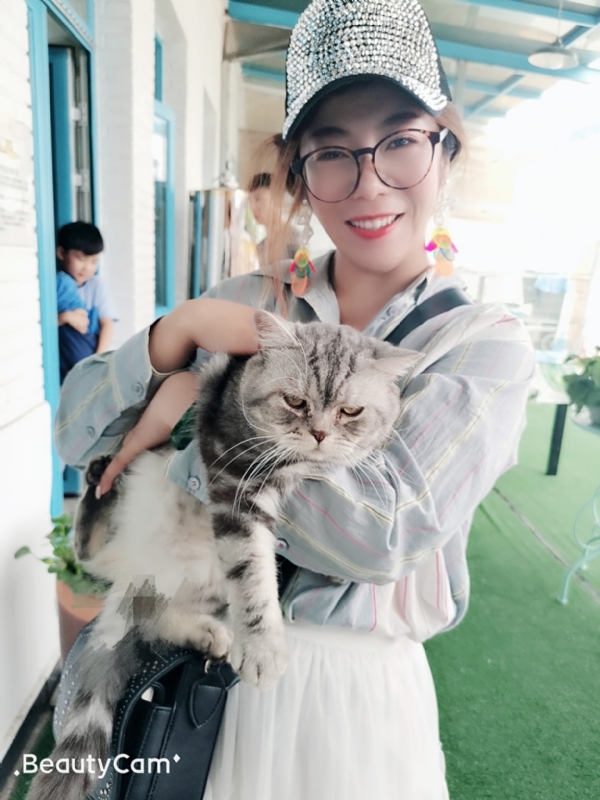 小黑猫的第一张照片--明溪相亲网