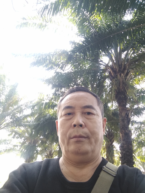 重振雄风的第二张照片--明溪相亲网