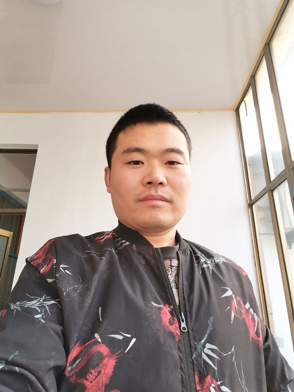 会飞的猪的第一张照片--明溪相亲网