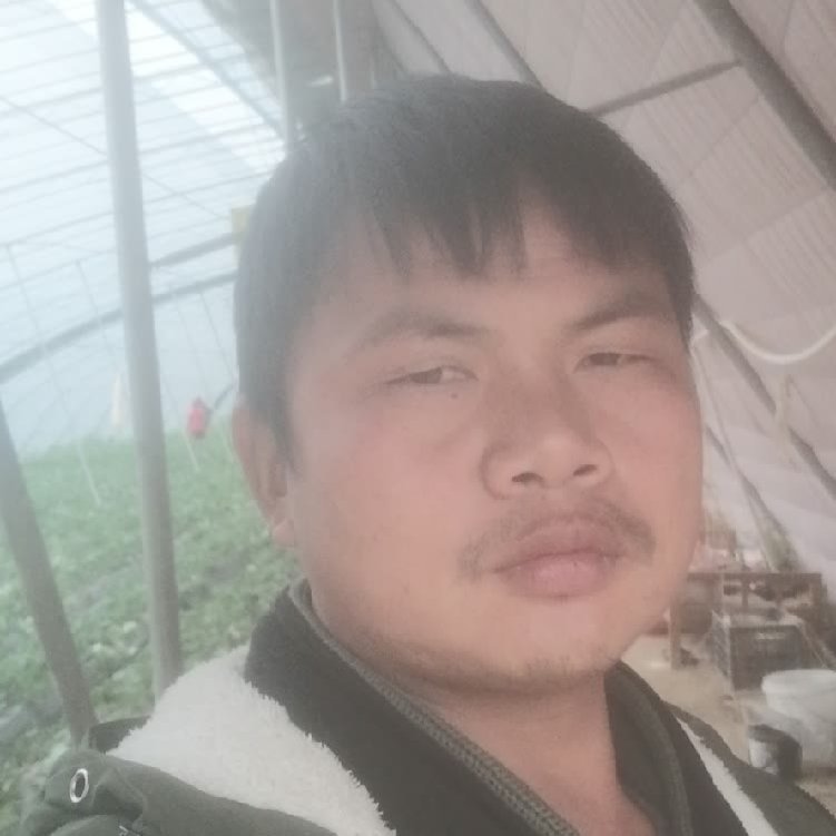 孤狼‘的第一张照片--明溪相亲网