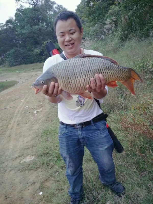 迷路的男人的第一张照片--明溪相亲网