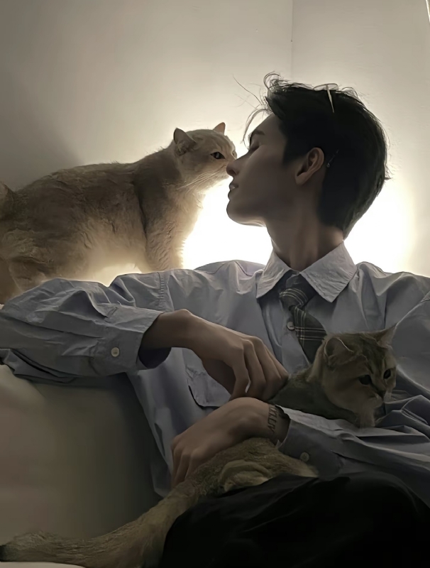 怪猫的第一张照片--明溪相亲网